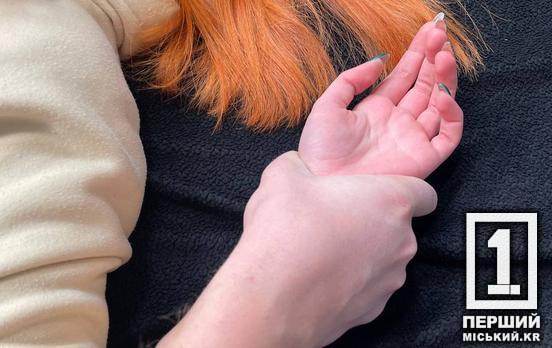 Одна з жертв тікала майже гола: у Кривому Розі суд судив росіянина-ґвалтівника