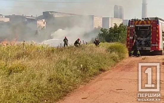 Людська недбалість чи ігри з вогнем: неподалік від Кривого Рогу горить суха трава