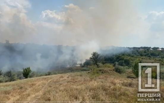 Выжженные угодья, сухая трава и уничтоженный огнем автомобиль: горячая статистика от спасателей за минувшие сутки на Днепропетровщине