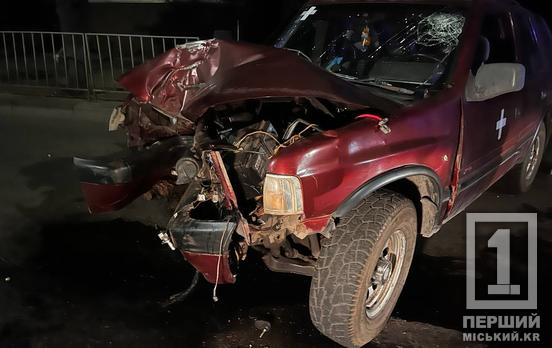 У Кривому Розі Opel на швидкості влетів у дерево: керманича ушпиталили