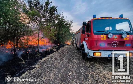 В опасности также дома: за сутки огонь превратил в пепел более 140 гектаров лесов и степей Днепропетровщины