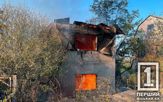 Жахливі цифри: пожежами за добу знищено 156 га природних угідь Дніпропетровщини