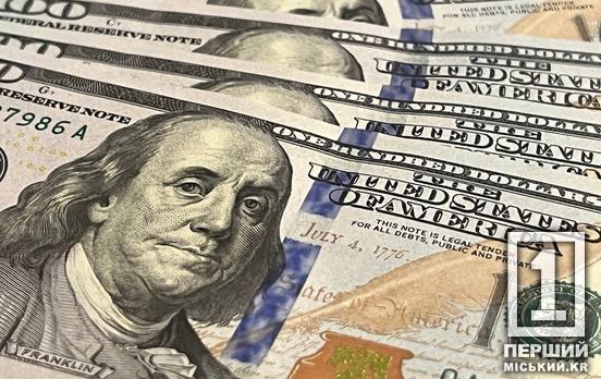 Схопив гаманець з доларами: у Кривому Розі відправили до в’язниці крадія з іншого району Дніпропетровщини