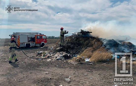 Пекло продолжается: за сутки Днепропетровщина горела 48 раз