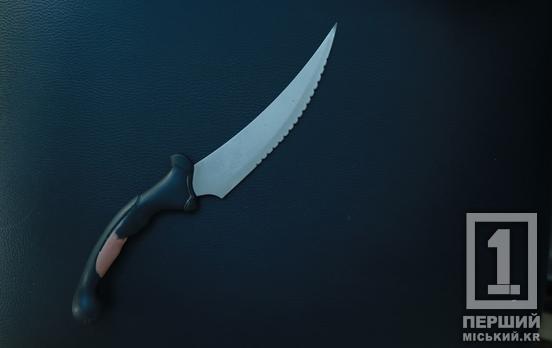 2 роковых удара ножом: в Кривом Роге женщина получила тюремный приговор за убийство