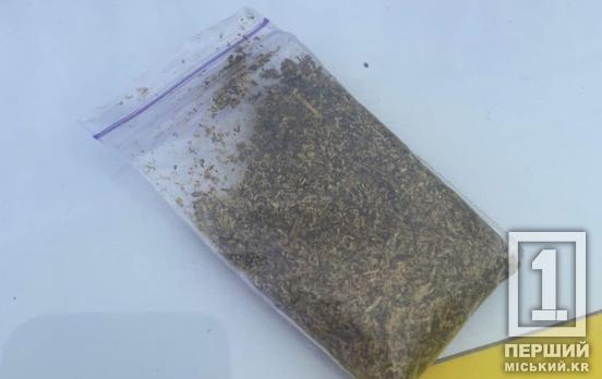 Злякався поліцейської автівки: у Кривому Розі зловили перехожого з наркотиками