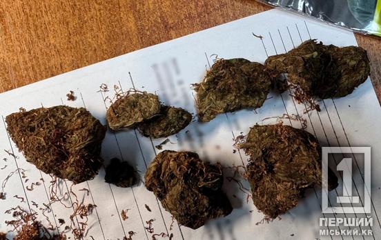 З натренованими собаками – не пошуткуєш: мешканець Дніпропетровщини хотів вивезти наркотик до Польщі