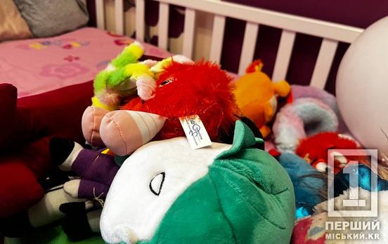 Дарують дітям шанс на родину: у Кривому Розі з'явилася перша патронатна сім'я