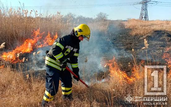 Вогняна біда не зникає: на Дніпропетровщині згоріло 95 гектарів екосистем