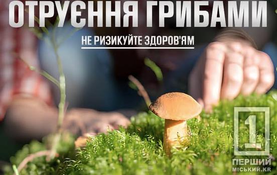 Небезпечні «дари лісу»: у Кривому Розі двоє дітей отруїлися грибами