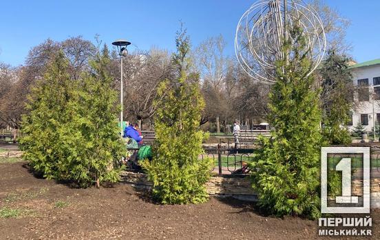 Стартувало масштабне озеленення Кривого Рогу: сквер у Покровському районі прикрасили стійкими та красивими деревами