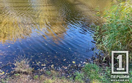 Дитина потонула, бо не вміла плавати: у нашій області очільник благодійної органцізації 4 роки сидітиме у в’язниці