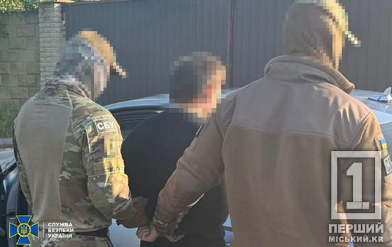 Переправляли у дитячих товарах та кормах: у Кривому Розі СБУ затримала учасників ОЗГ, яка робила наркотики із закордонної сировини