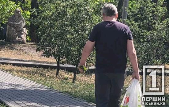 Збиткував серед білого дня: криворіжці помітили розкрадача клумб