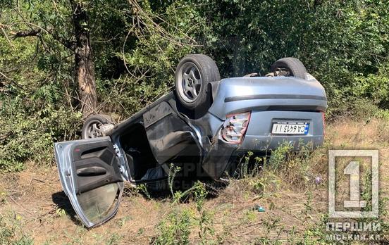 По дороге на Кривой Рог перевернулась Skoda по дороге на Кривой Рог