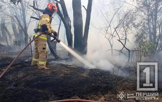 Повернулася спека і разом з нею численні пожежі: за одну добу Дніпропетровська область палала 44 рази