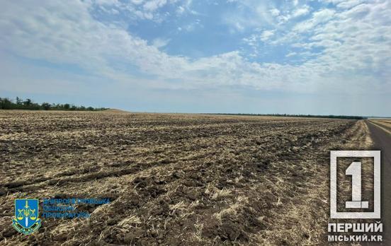 Угоду розірвано через порушення: на Криворіжжі державі повернули ділянку ціною близько 80 млн грн