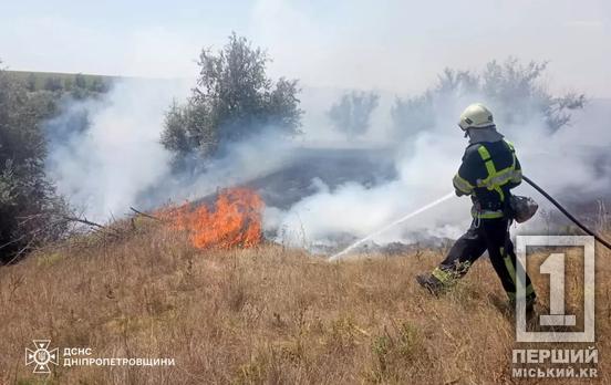 Вогняна доба на Дніпропетровщині: пожежі знищили понад 55 гектарів екосистем