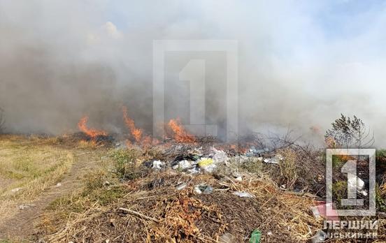 Палало сміття, а вогонь рознісся навколо: у Кривому Розі горіло 1,5 га сухостою