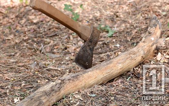 «Зараз тебе буду рубати та виносити по частинам з квартири»: мешканка Кривого рогу погрожувала сусіду розправою і ледь не рознесла сокирою двері його оселі