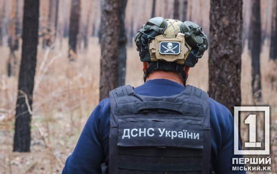 У Криворізькому районі знищили вісім сучасних вибухівок, - оперативне зведення