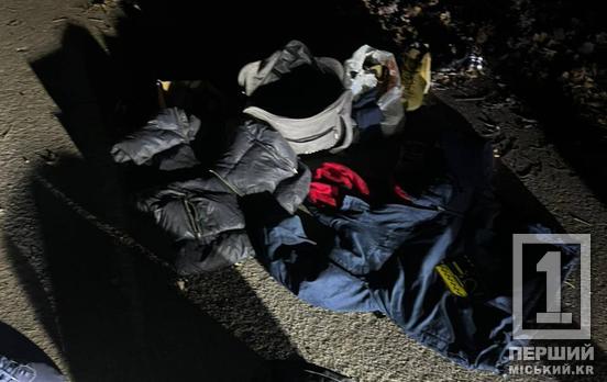 Нажився всім, що бачив: у Кривому Розі чоловік обчистив фуру на парковці