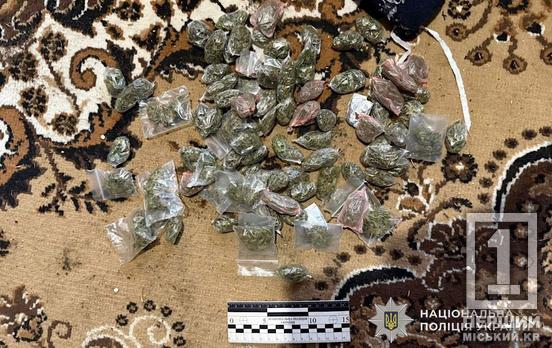 Чекає на вирок за пристрасть до забороненого: у Криворізькому районі судитимуть зберігача канабісу