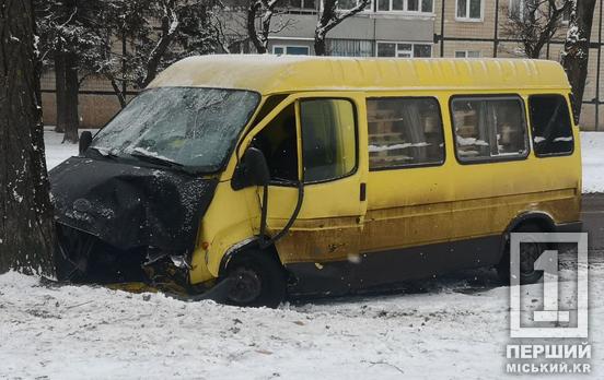 Слизький асфальт не пробачає помилок: у Кривому Розі бус влетів у дерево