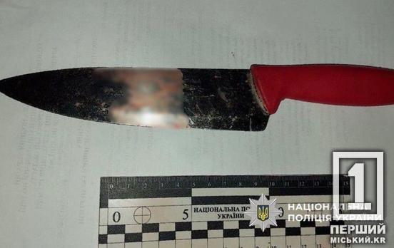 Сім років за ґратами: у Кривому Розі засудили чоловіка, який до смерті вдарив знайомого ножем