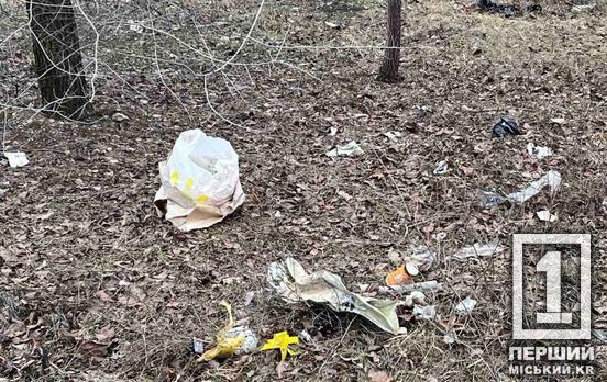 Узбіччя — не звалище: криворіжців закликають не перетворювати зупинки на смітники