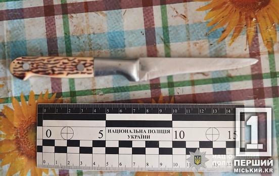 Убив та втік: на Дніпропетровщині затримали підозрюваного у смертельній поножовщині