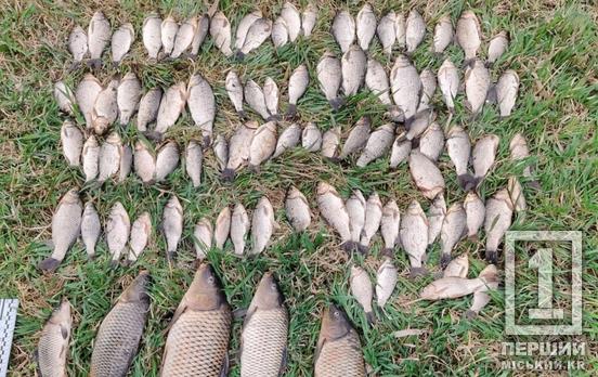 Використання електровудки обернулося проти гаманця: у Криворізькому районі викрили чорного рибалку