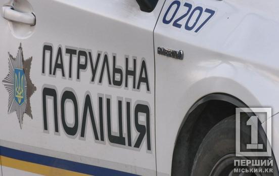 Фальшиве посвідчення та порушення ПДР: на трасі Н-11 затримали водія