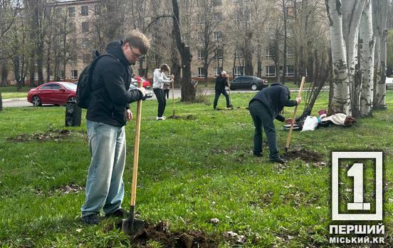 У Кривому Розі висадили 30 дерев у сквері імені Кузьми Скрябіна