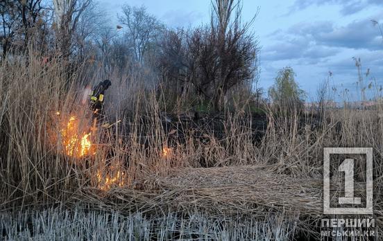 З гілками проти вогню: на Зарічному рятувальники й діти гасили очерет