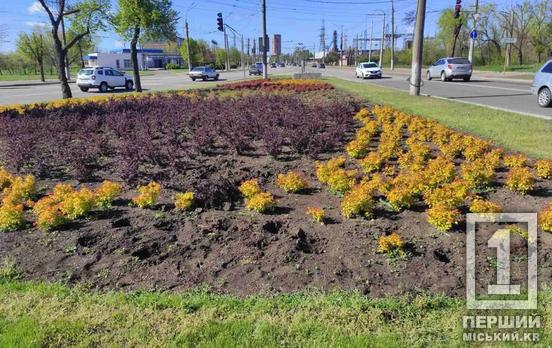 Залишили порожні лунки: на вулиці Вільної Ічкерії вандали спустошили клумби