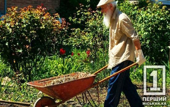 Вийти на пенсію у 60 стане складніше: з 2027 року в Україні зростуть вимоги до стажу