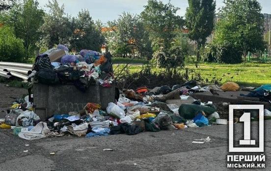 Сміттєвий день бабака: у Довгинцівському районі очищений майданчик почав повертатися до старого вигляду за годину