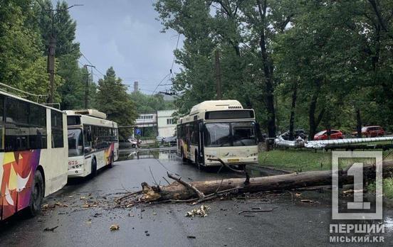 В Терновском районе Кривого Рога из-за поваленного дерева оборвались провода: изменено движение троллейбусов