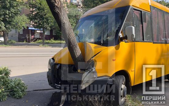 У Кривому Розі міжміська маршрутка влетіла в дерево: водія обпекло гарячим мастилом, є постраждалі