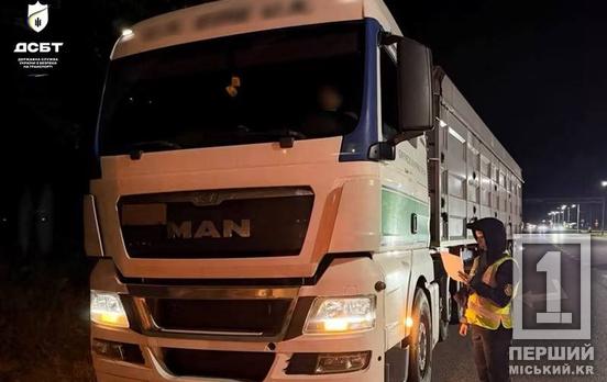 Перевантаження до 50% і майже пів мільйона гривень штрафів: на Дніпропетровщині перевірили вантажівки
