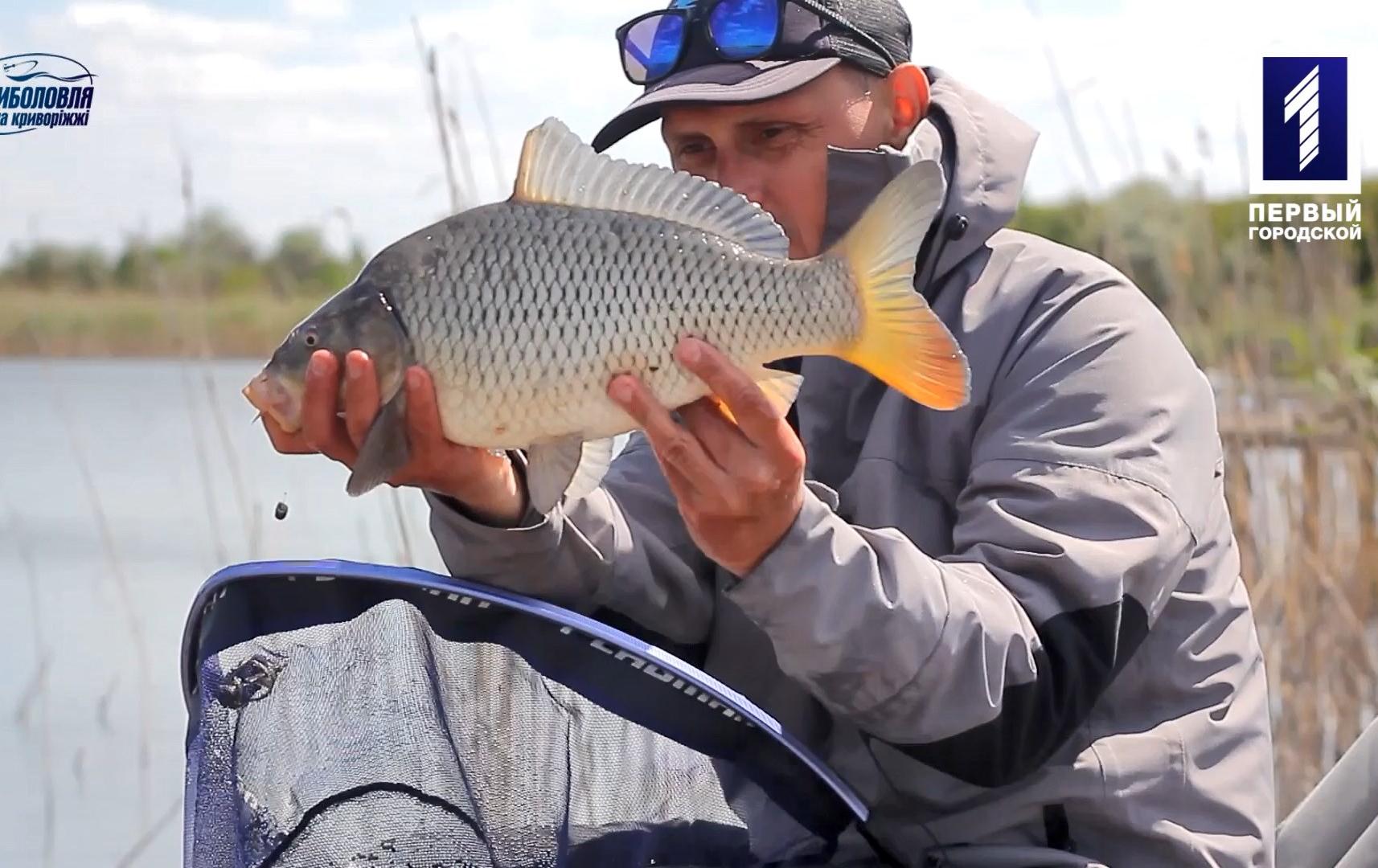 Риболовля на Криворіжжі: короп та білий амур