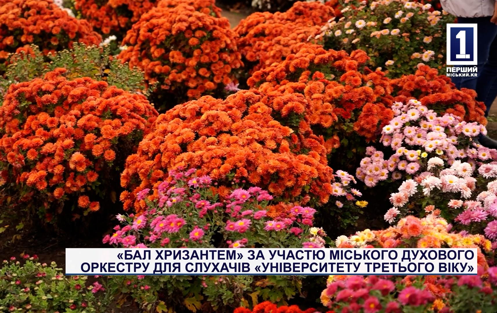 «БАЛ ХРИЗАНТЕМ» ЗА УЧАСТЮ МІСЬКОГО ДУХОВОГО ОРКЕСТРУ ДЛЯ СЛУХАЧІВ «УНІВЕРСИТЕТУ ТРЕТЬОГО ВІКУ»