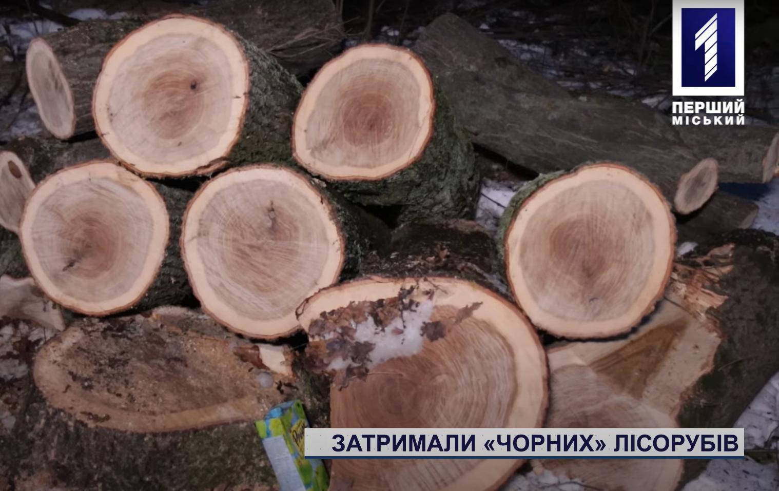 Задержали «черных лесорубов» в Кривом Роге