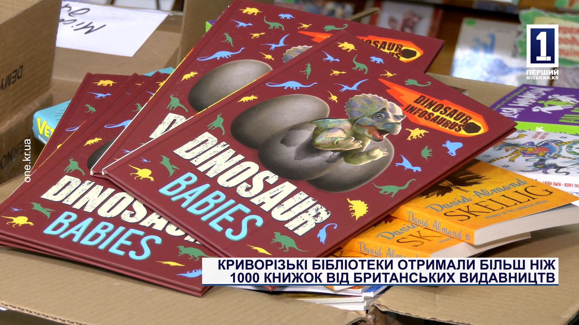 Криворожские библиотеки получили более 1000 книг от британских издательств