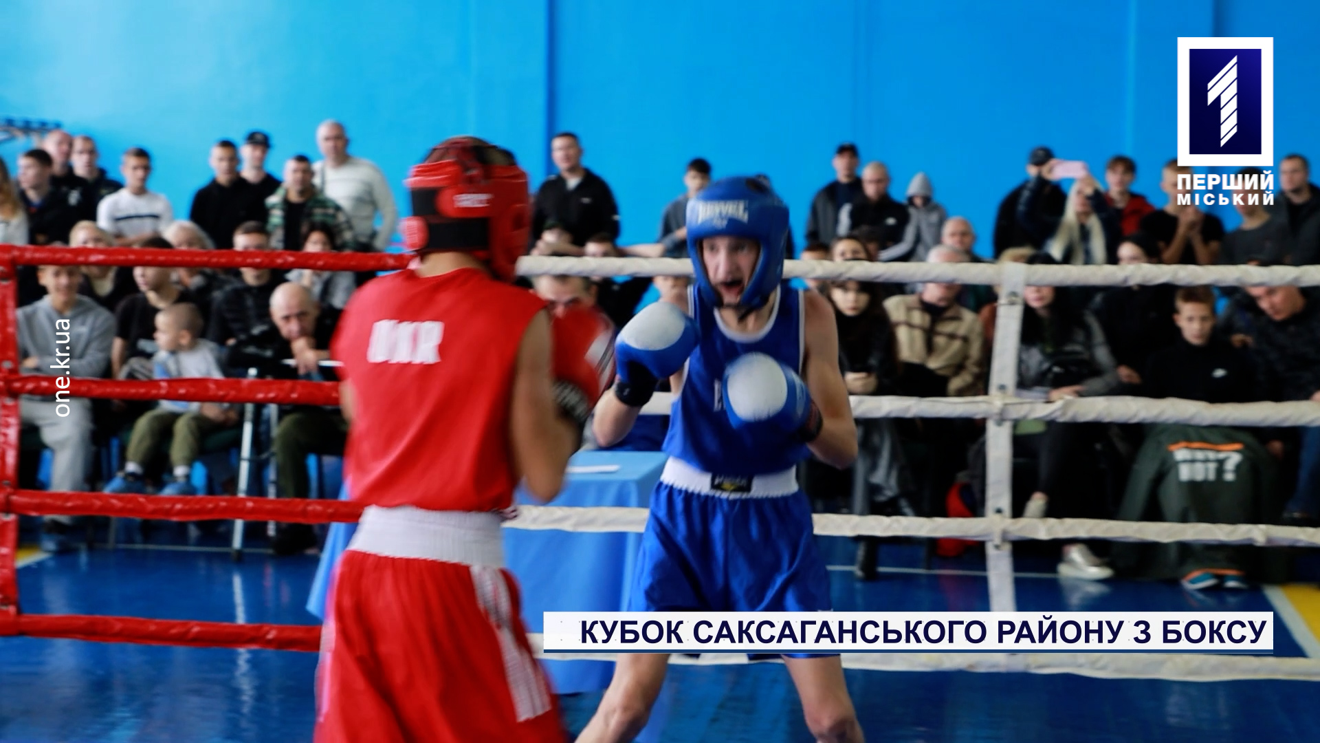 Кубок Саксаганського району з боксу