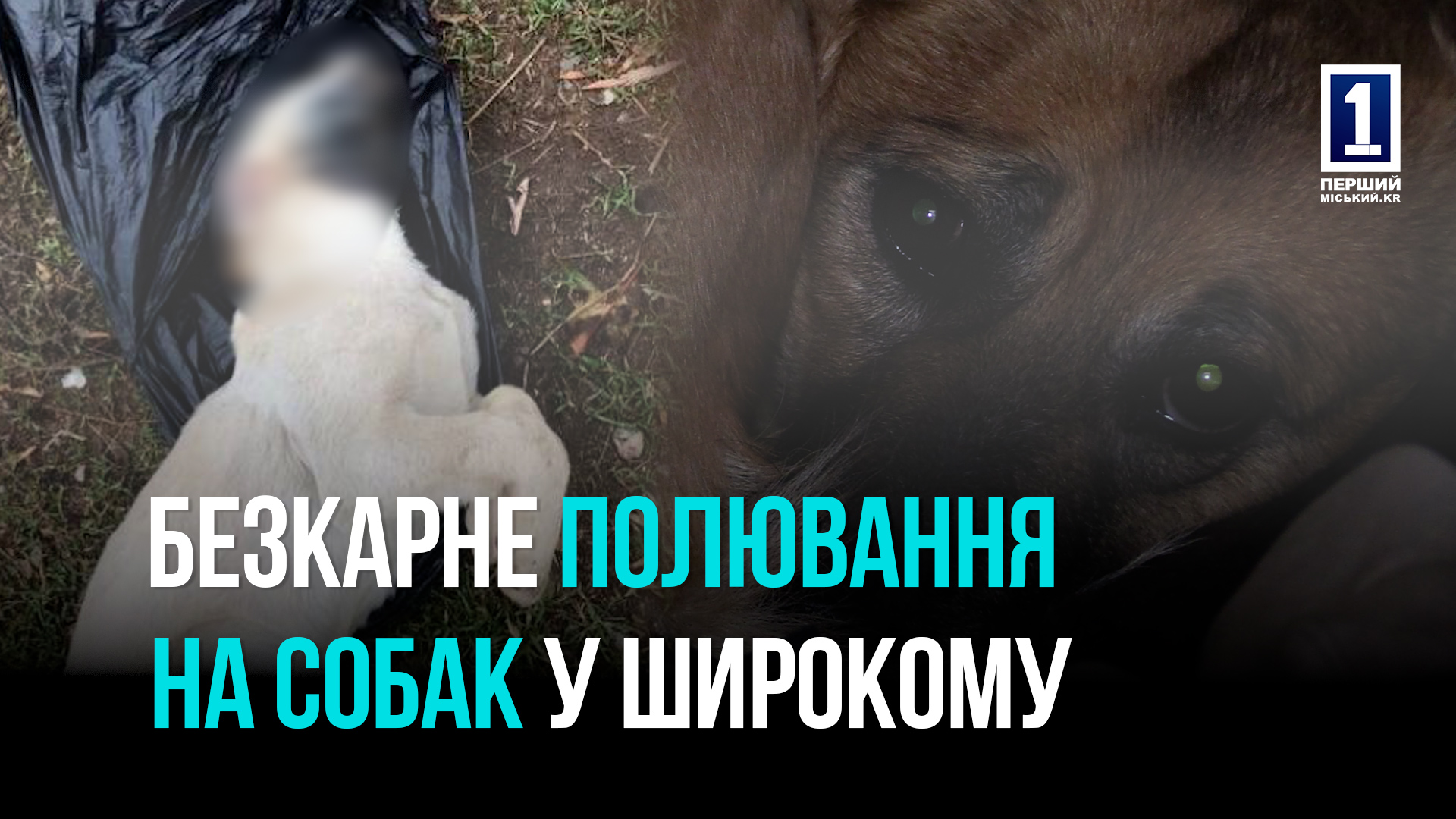 ЖАХ