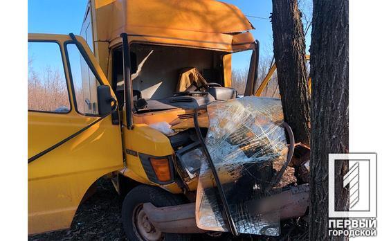 Пострадал водитель: в Кривом Роге фургон врезался в дерево