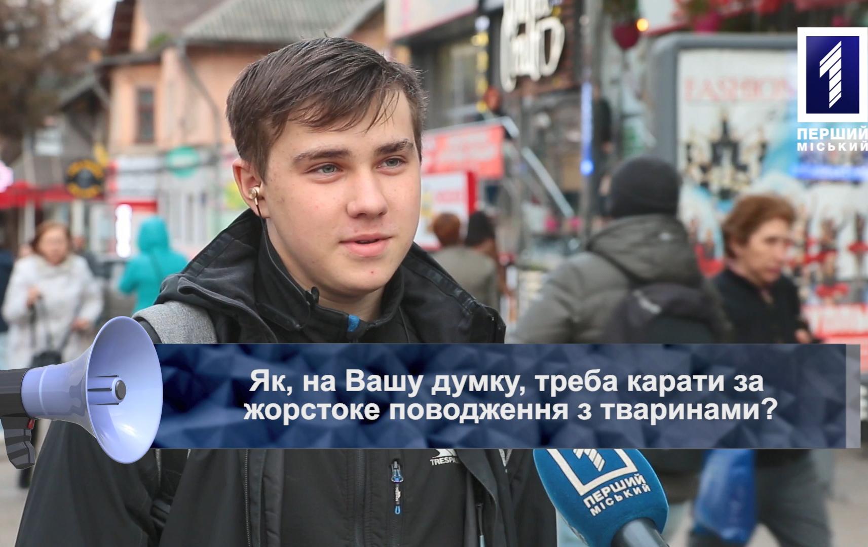 Відкрита трибуна: як треба карати за жорстоке поводження з тваринами