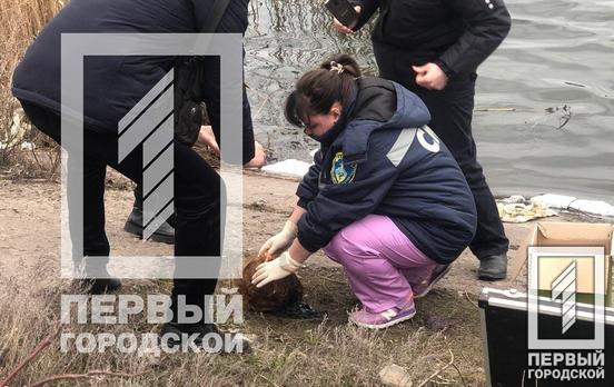 В Кривом Роге нашли голову женщины, которую расчленили и выбросили в пруд